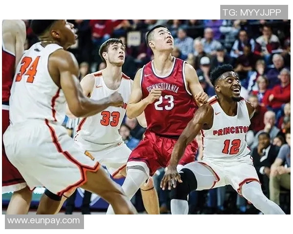 王泉泽：从年轻球员到篮球明星的成长之路与未来展望